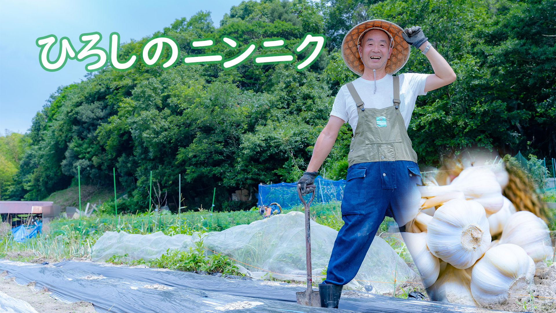 ニンニクともひろ お料理探偵 中野ユキヒロの解けマシタ！｜KBC九州朝日放送